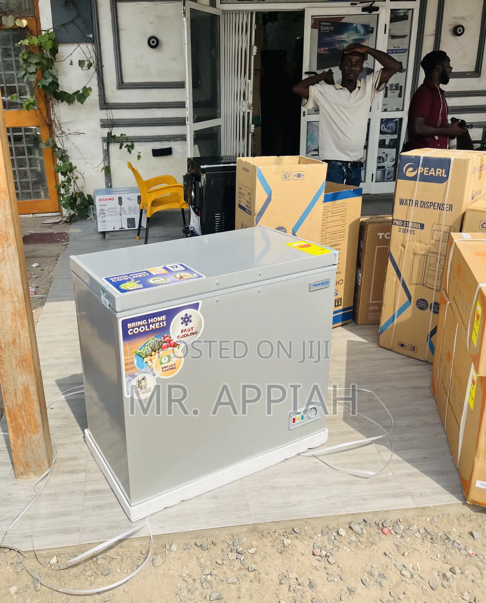 Stay Chill With Nasco Nas-250fl Electric Freezer,Gray.