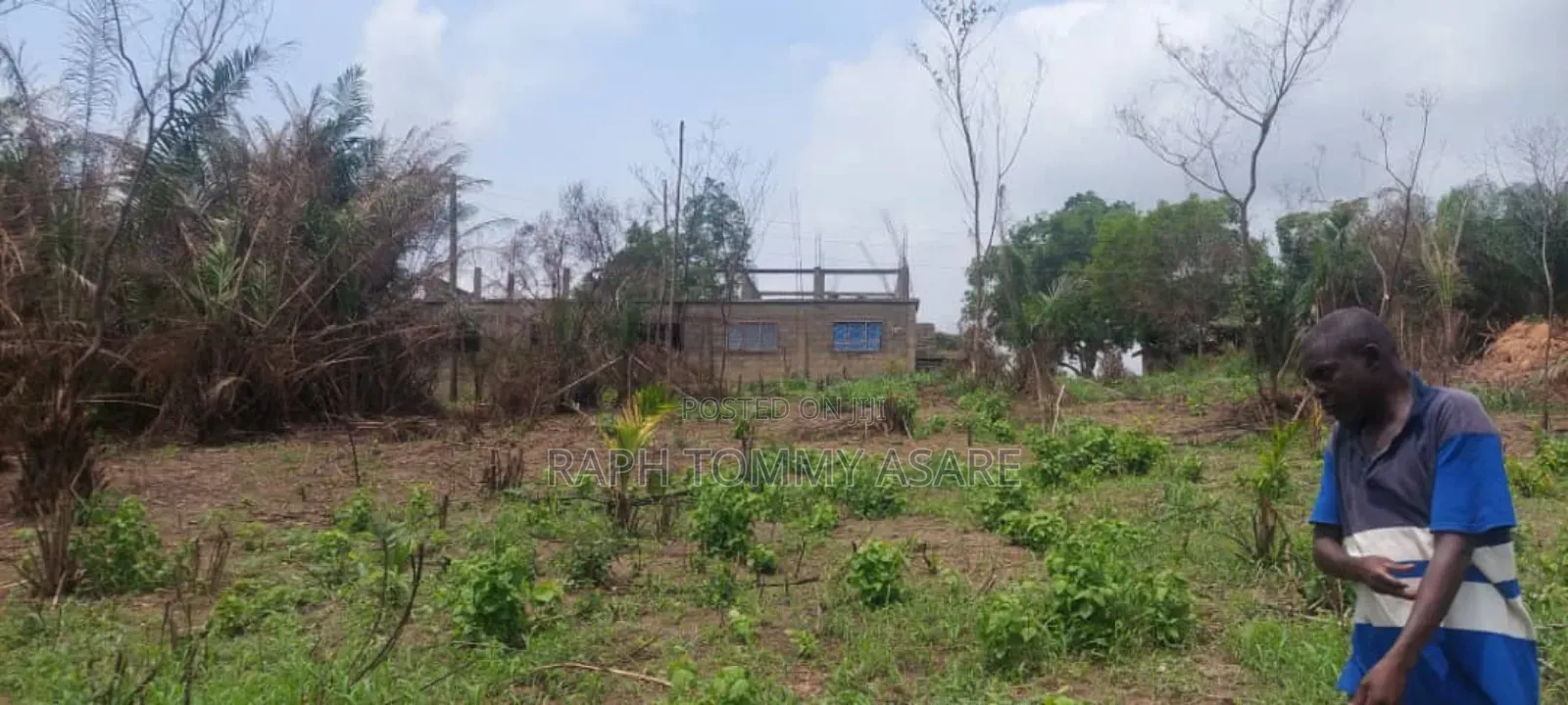 2 Plots of Land Located Behind Uncompleted SHS School