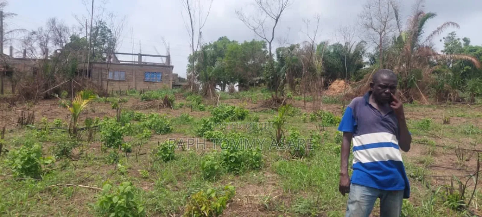 2 Plots of Land Located Behind Uncompleted SHS School