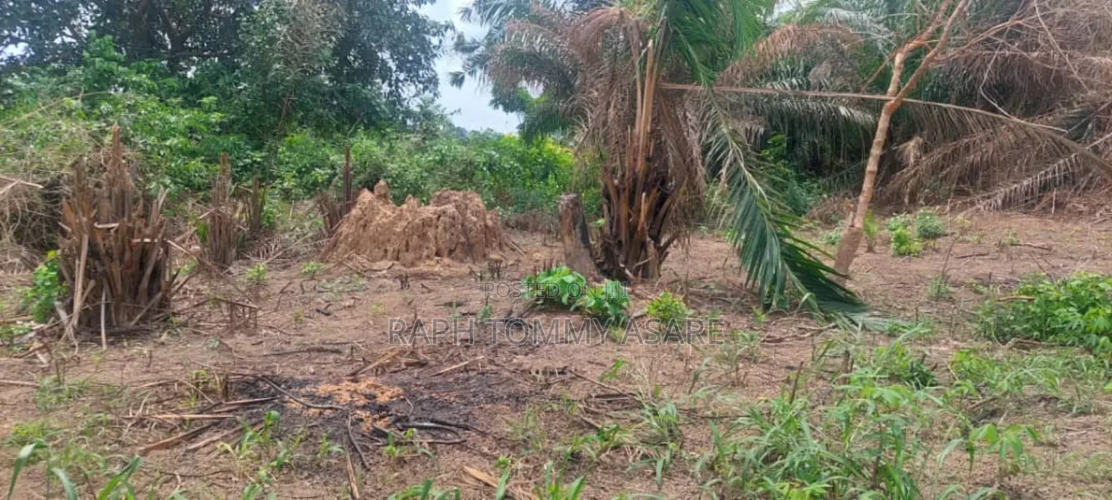 2 Plots of Land Located Behind Uncompleted SHS School