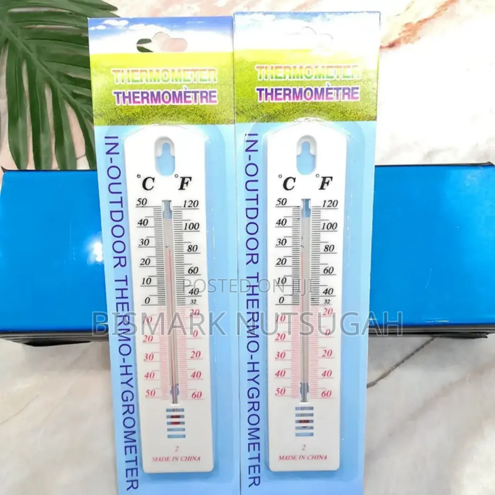 Thermometer for Sale