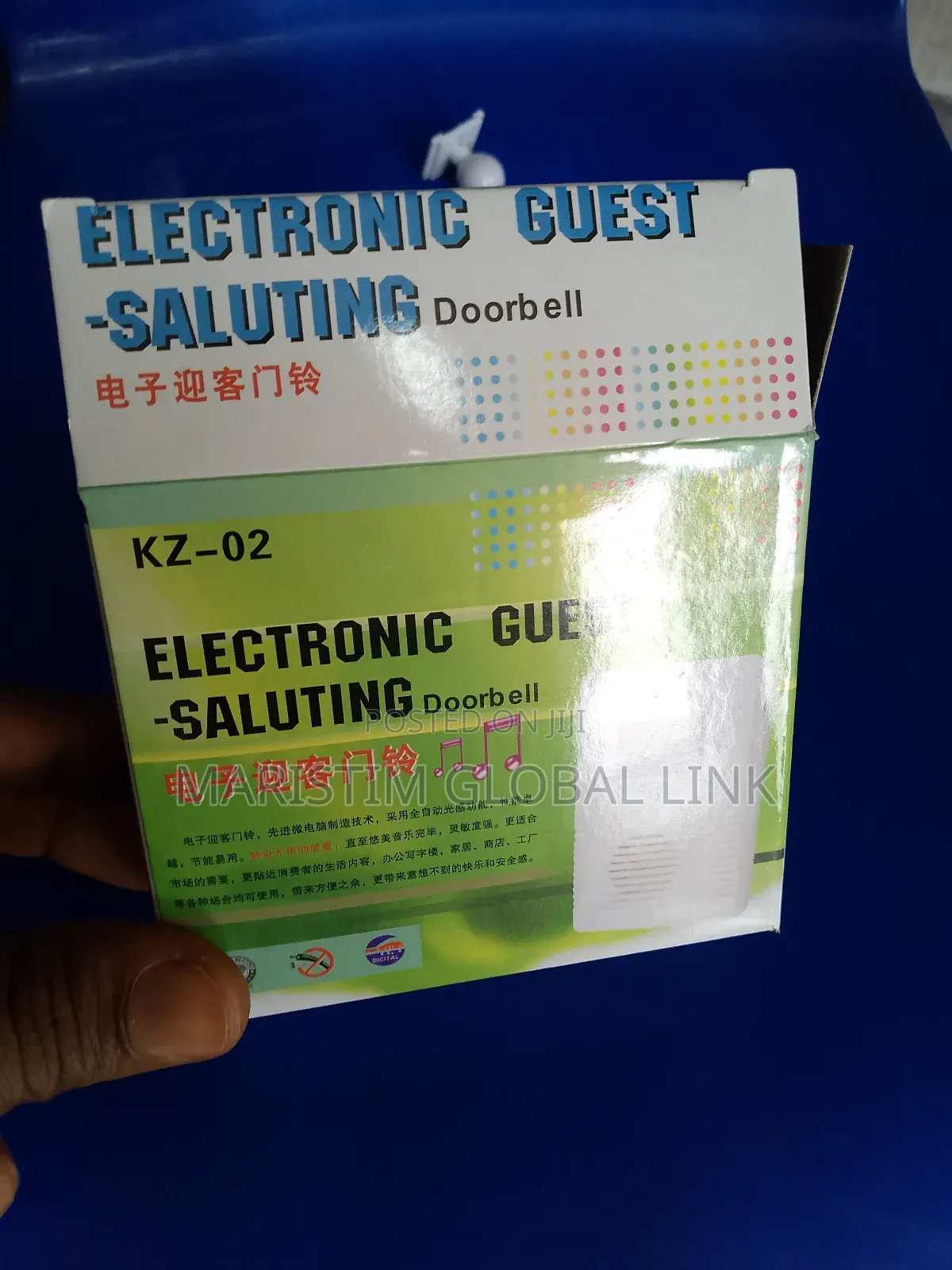 Stand Alone Motion Detector (Electric Guess Saluting)