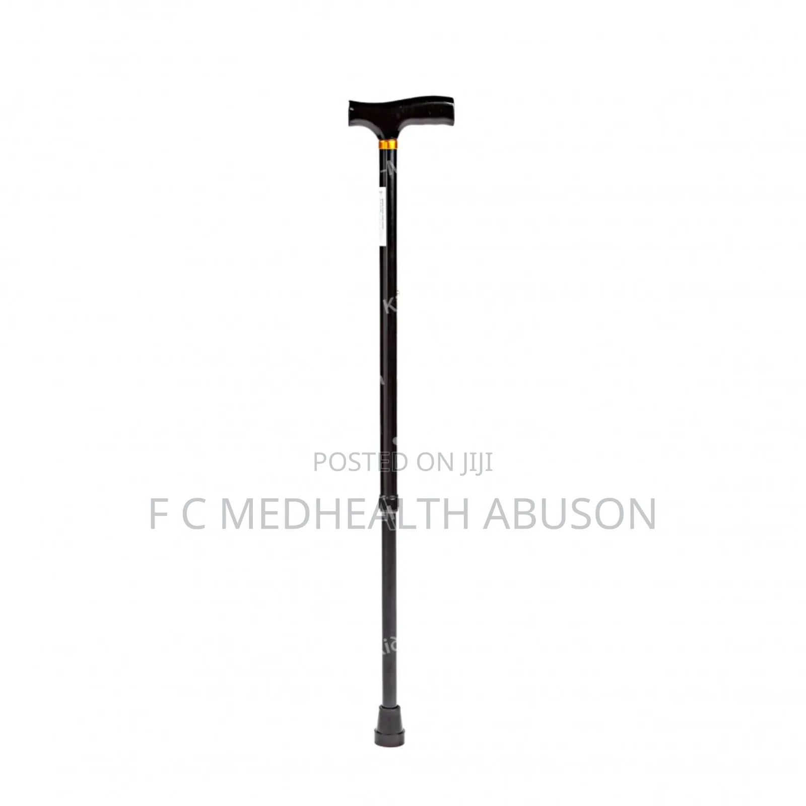 Walking Stick