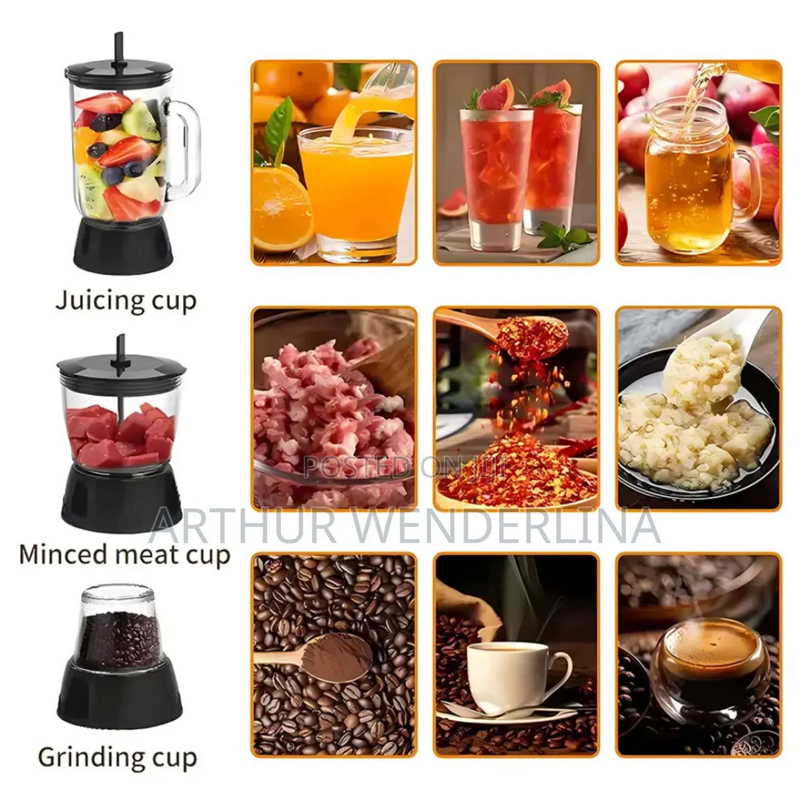 Avinas 4 in 1 Juicer and Blender