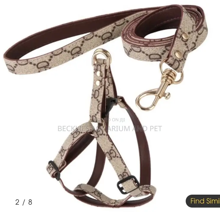 Adjustable Leash With Harness