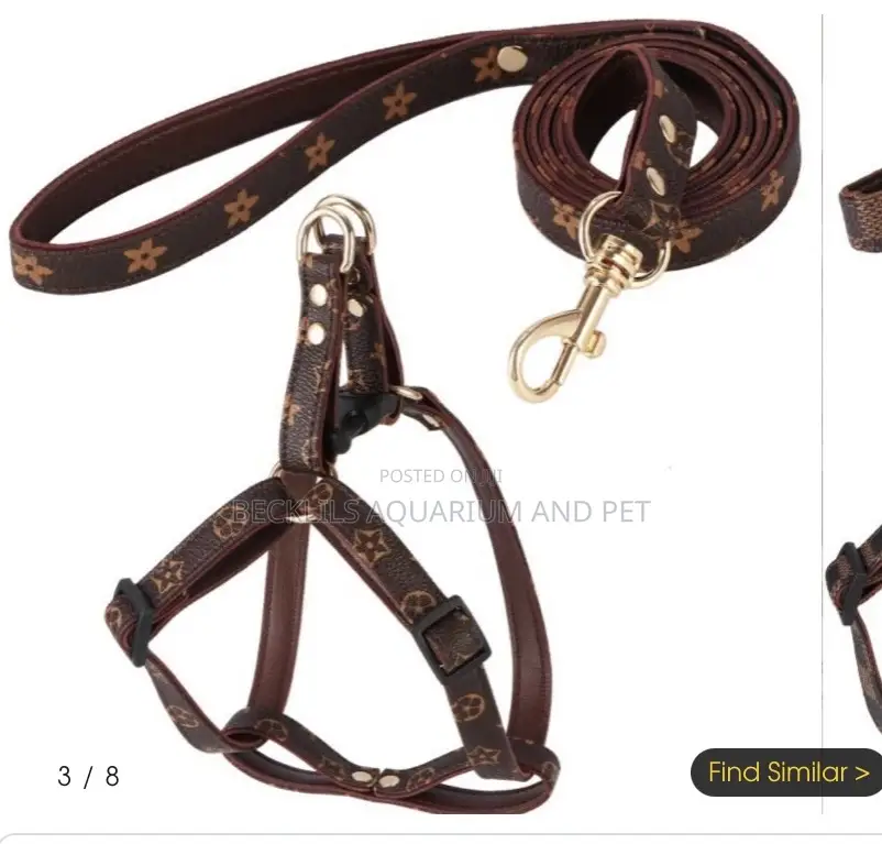 Adjustable Leash With Harness