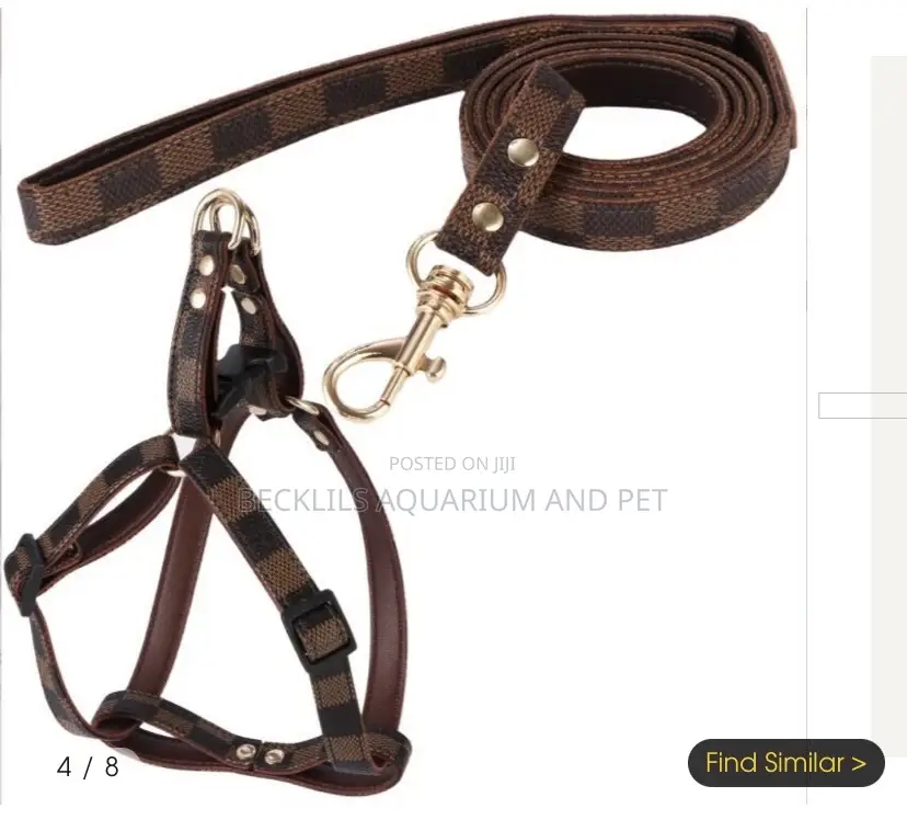 Adjustable Leash With Harness