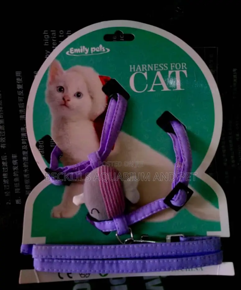 Harness for Cats