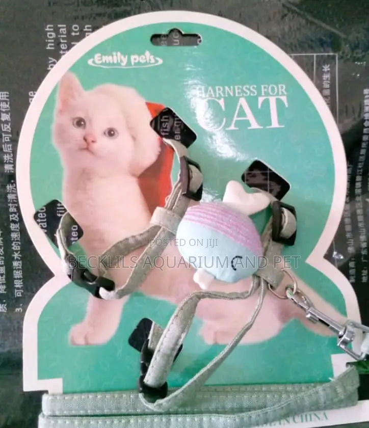 Harness for Cats