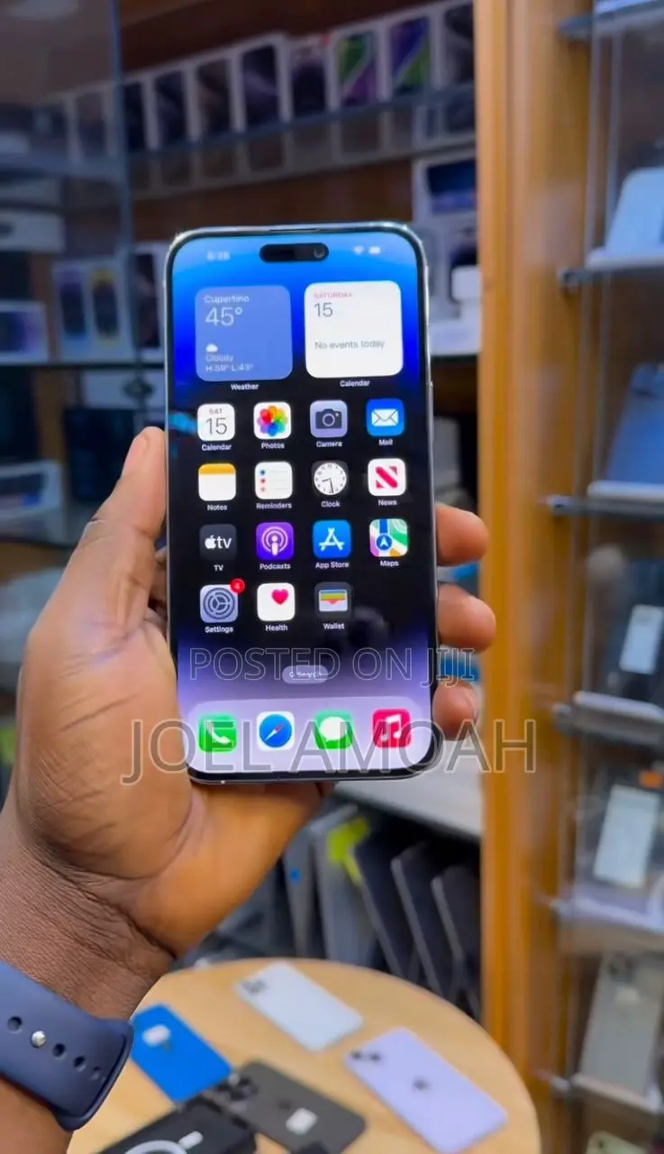 Apple iPhone 15 Pro Max 256 GB Gray