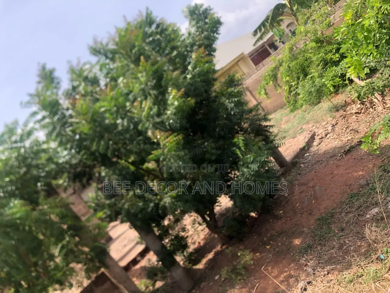 2 Plots at Animal Research for Sale