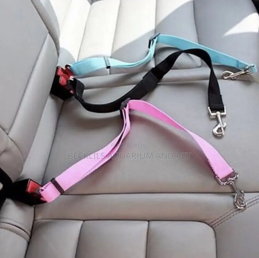 Car Set Belt Leash