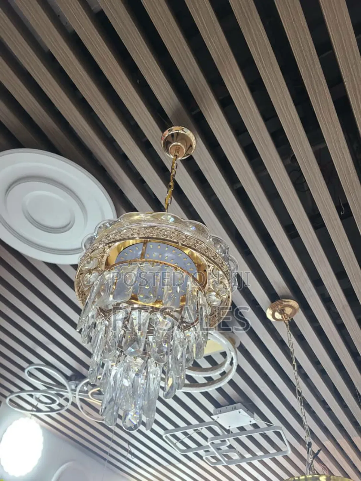 Mini Chandelier Light