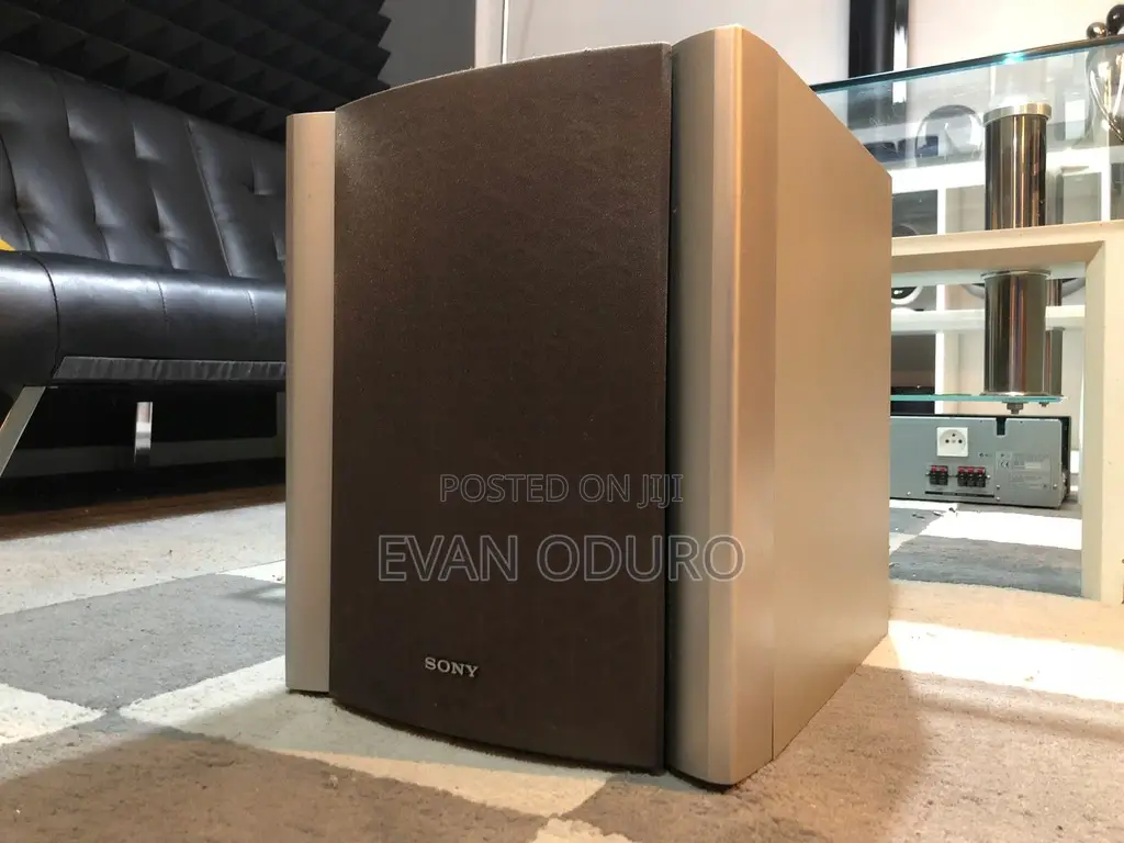 Powerful Sony Active Quality Bass Impressive Sound Acoustica