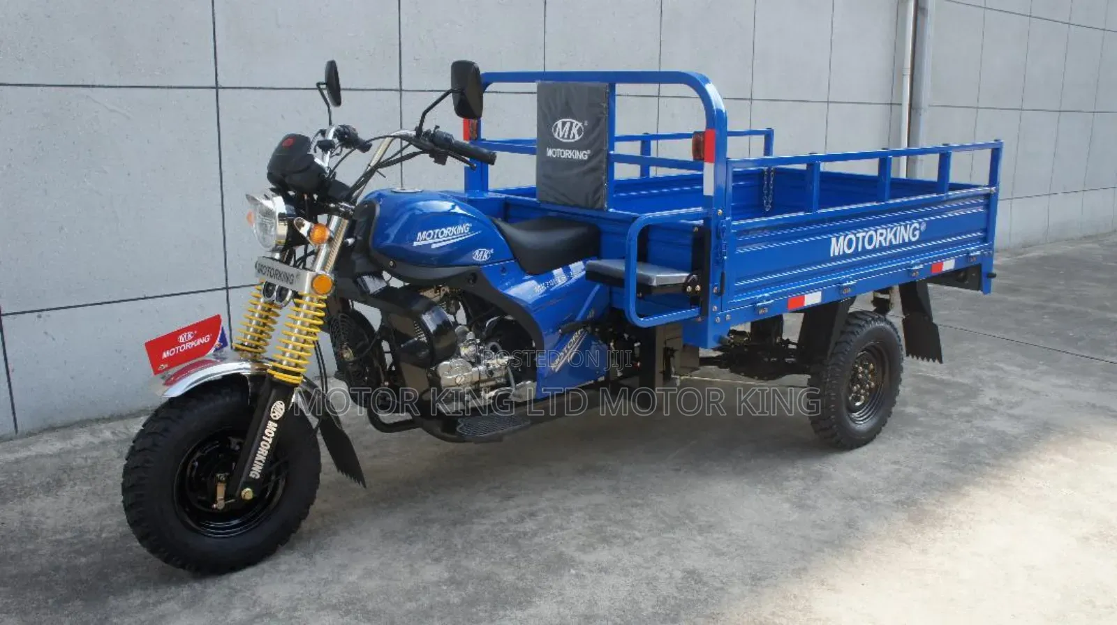 New Tricycle 2024 Blue