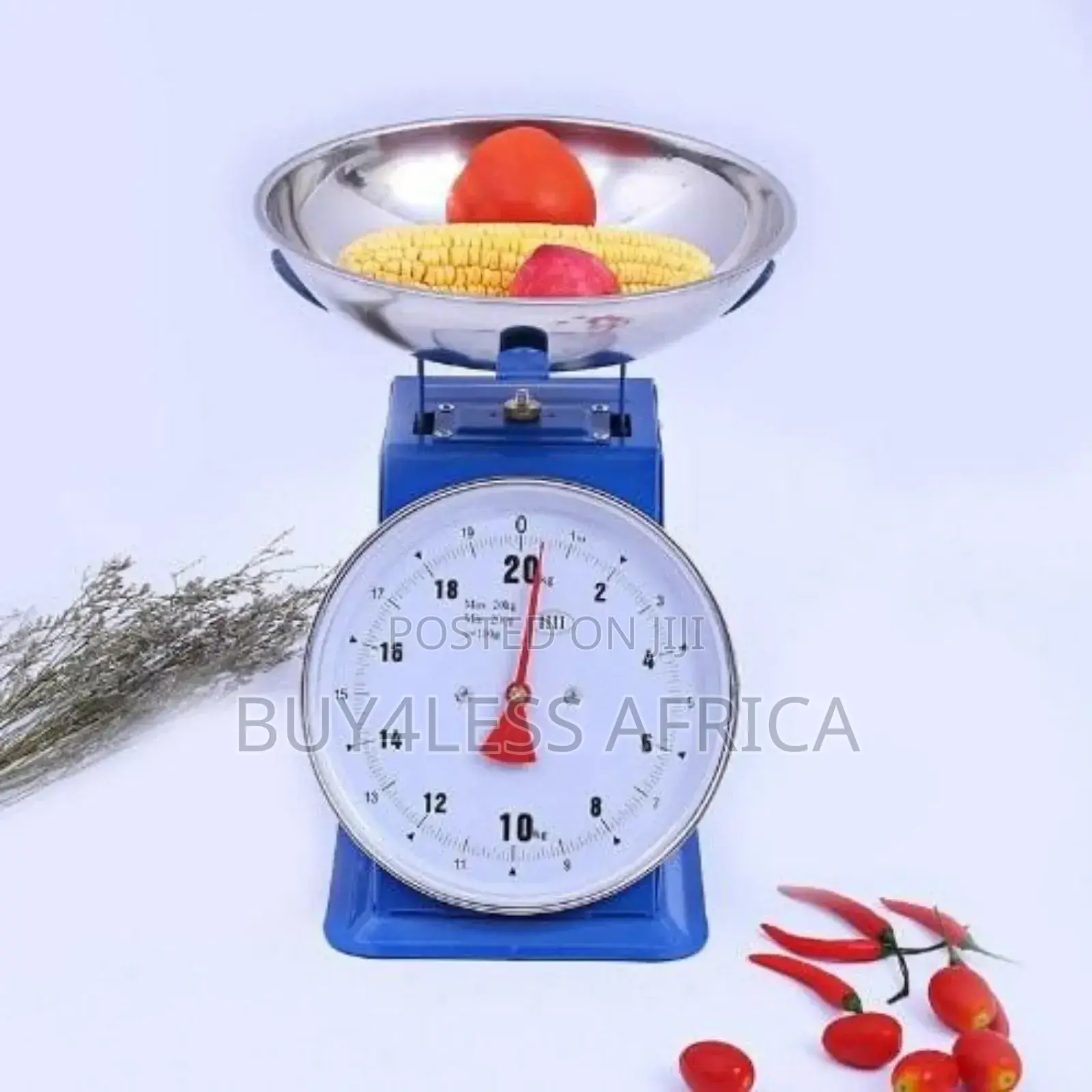 Spring Platform Scale | Weighing Scale 30kg