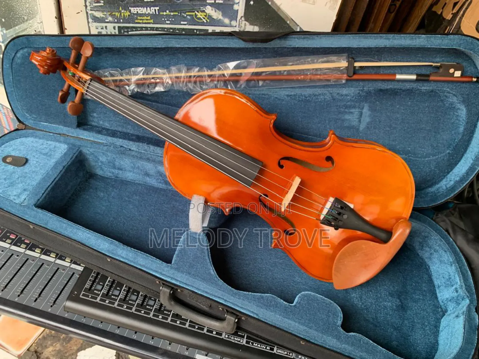 Viola (String Instrument)
