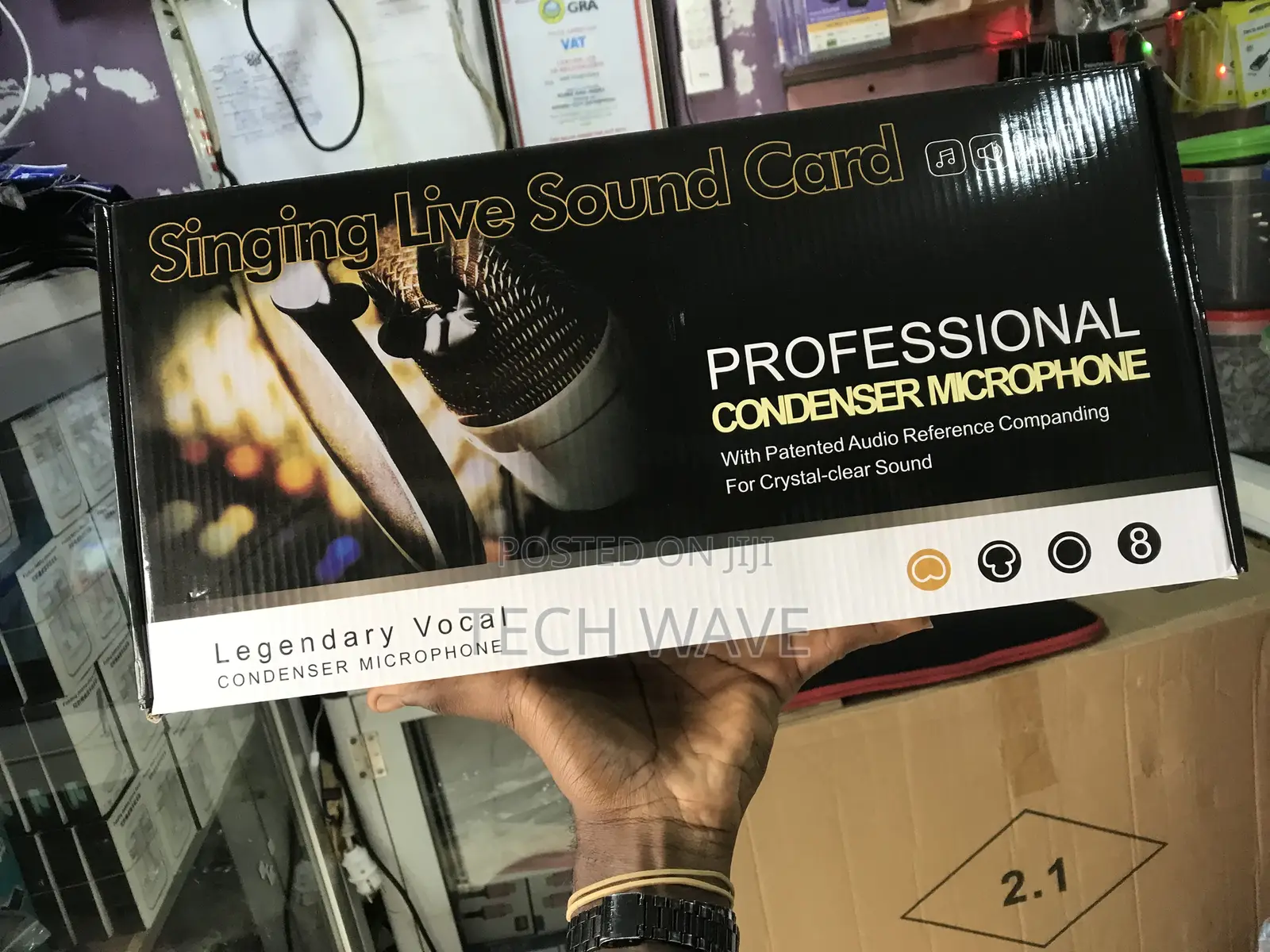 Professional Condenser Microphone