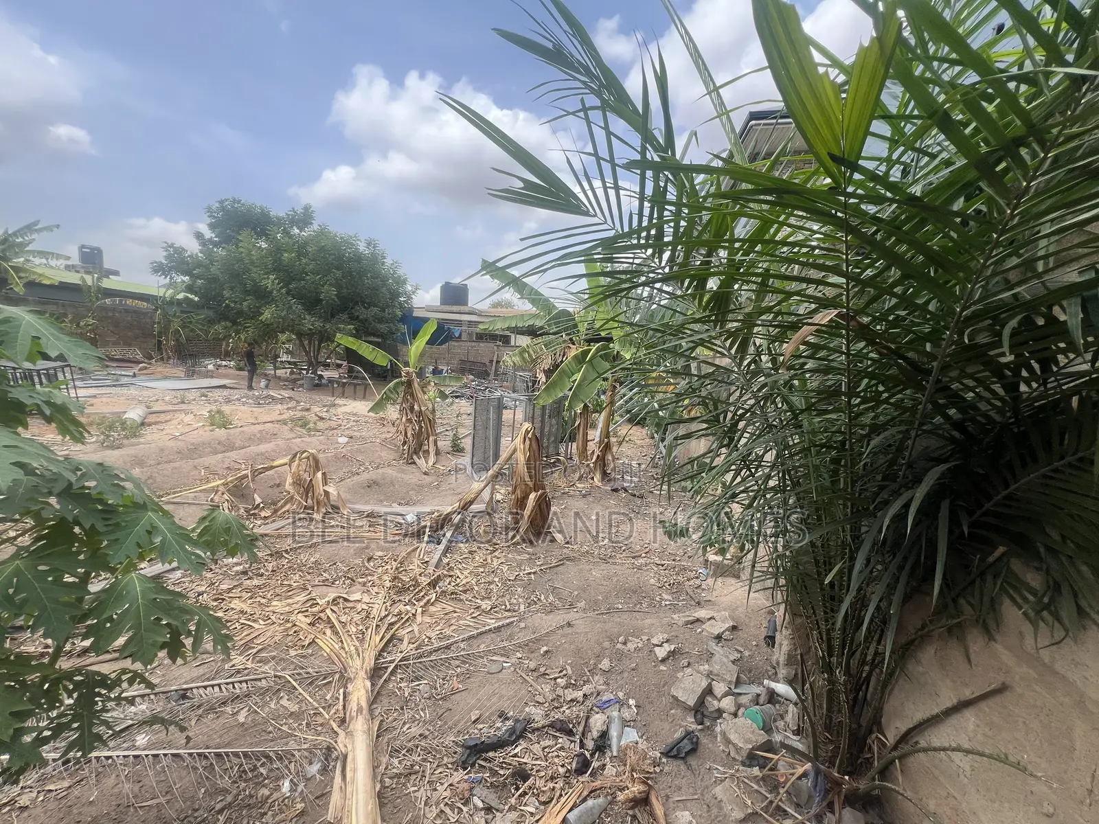 Sweet Located Land For Sale