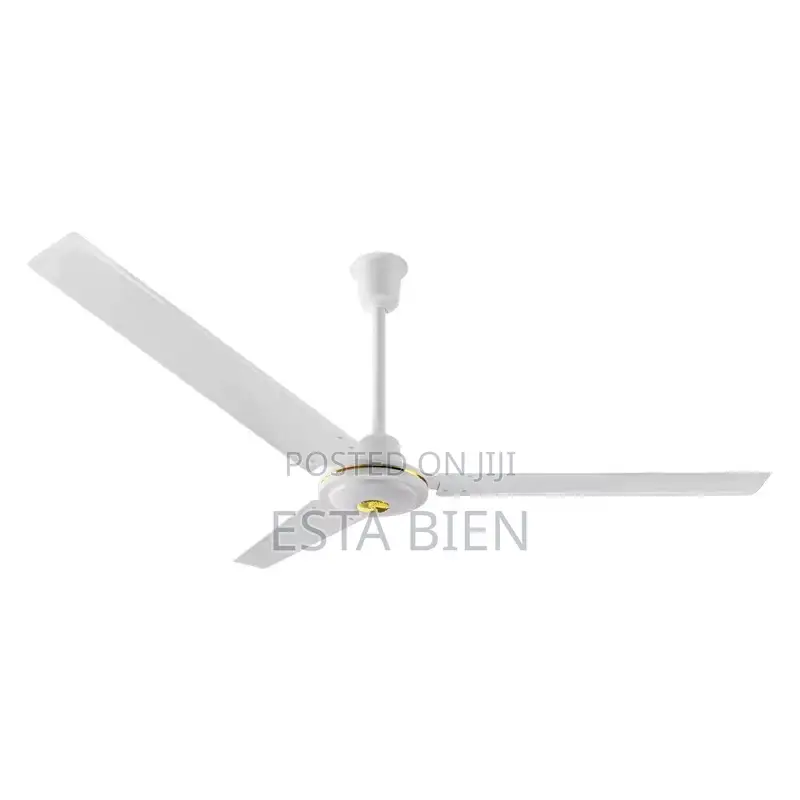 Ceiling Fan