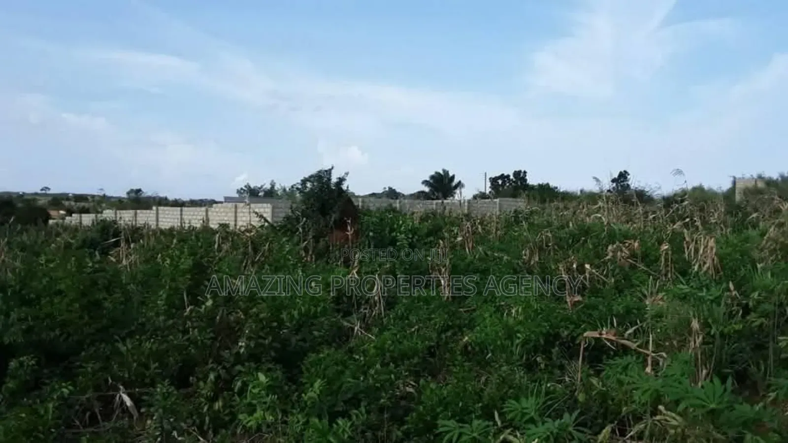 2.3 Acres of Land at Labone.