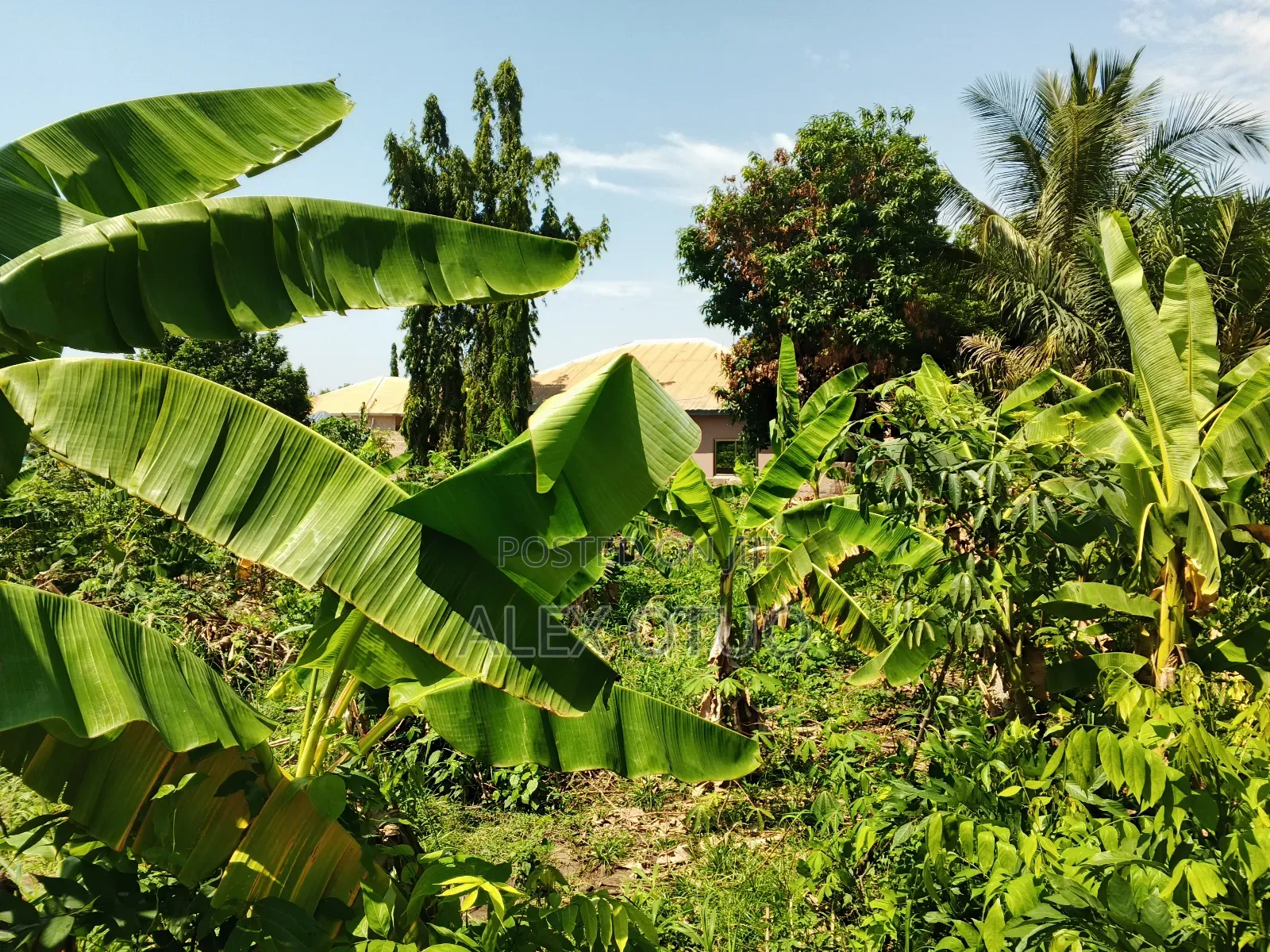 Full Plot of Land Good Location Kyem