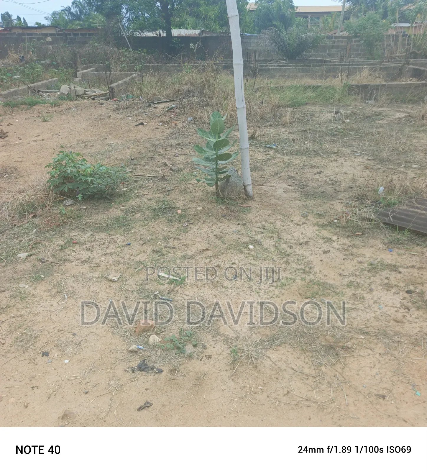 A Plot of Land