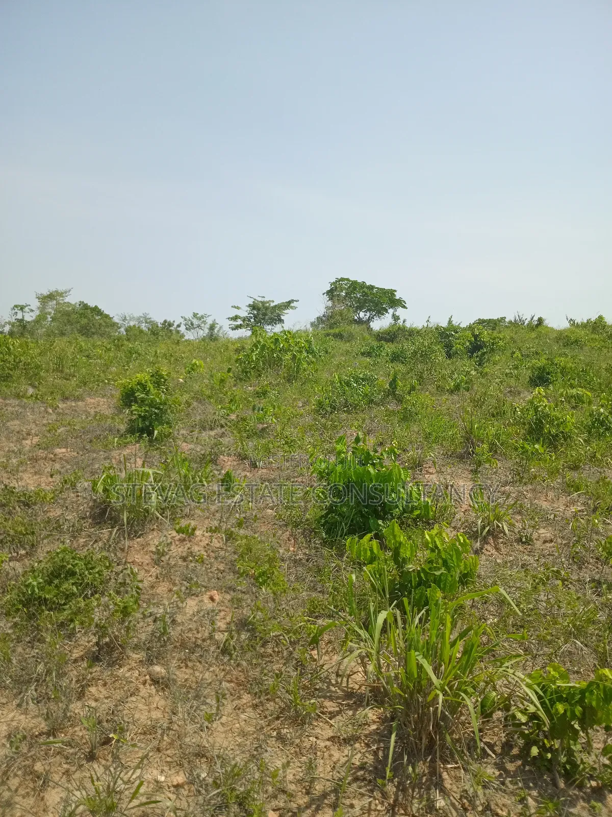 1 Acre of Land at Kasoa Akraman for Sale