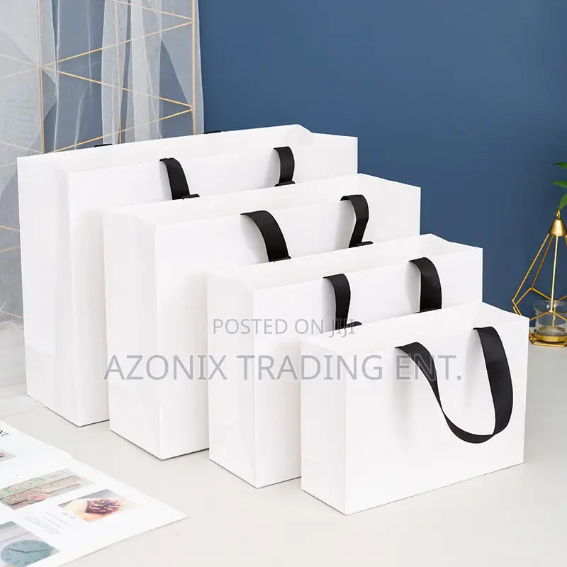 Plain and Customized Paper Gift Bags
