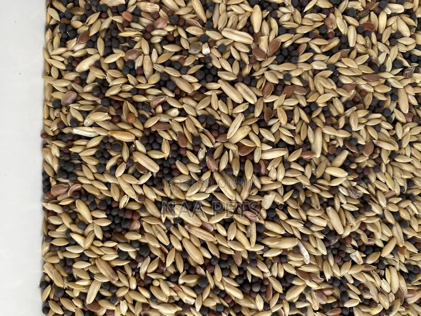 Bird Seed/ Canary Feed