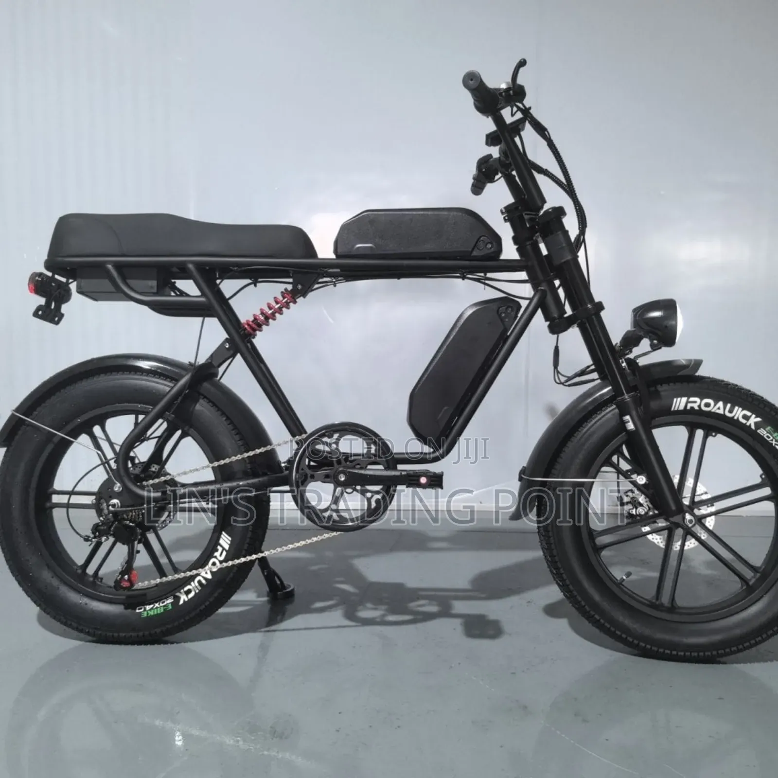 Powerful Dual Battery Electric Bike /Fresh in Box