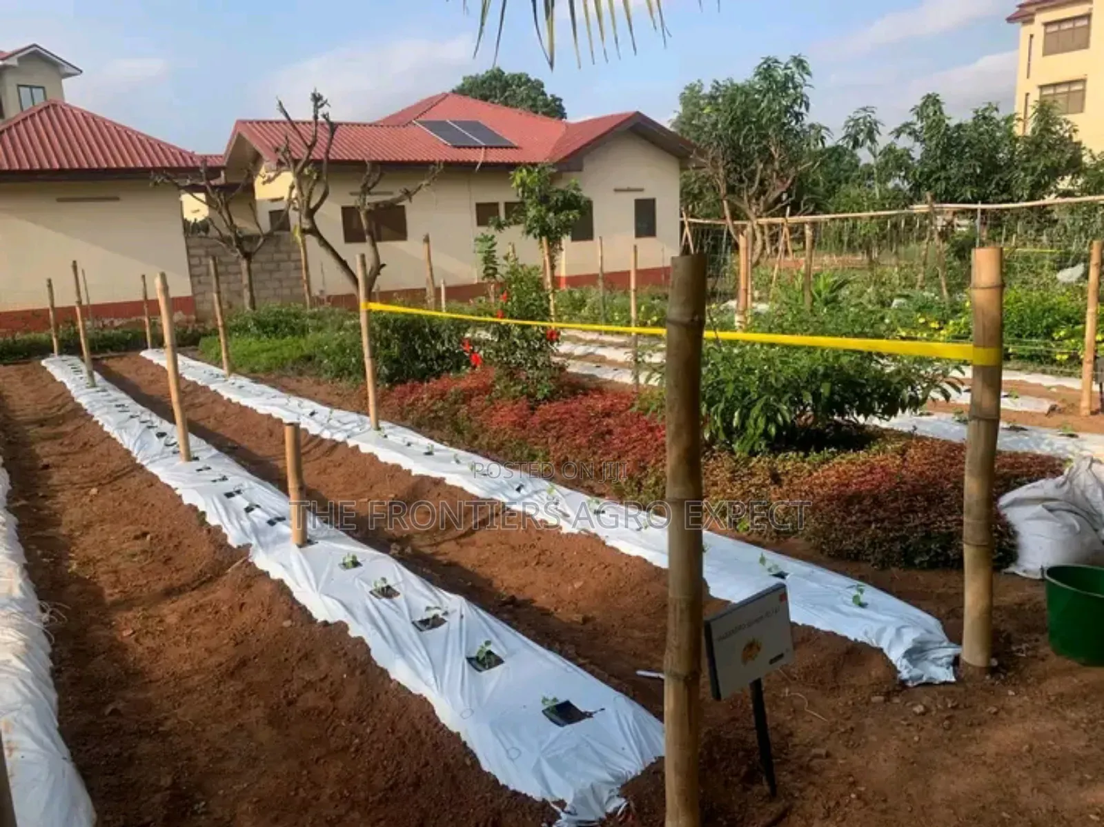 Backyard Vegetable Irrigation Farm Setup