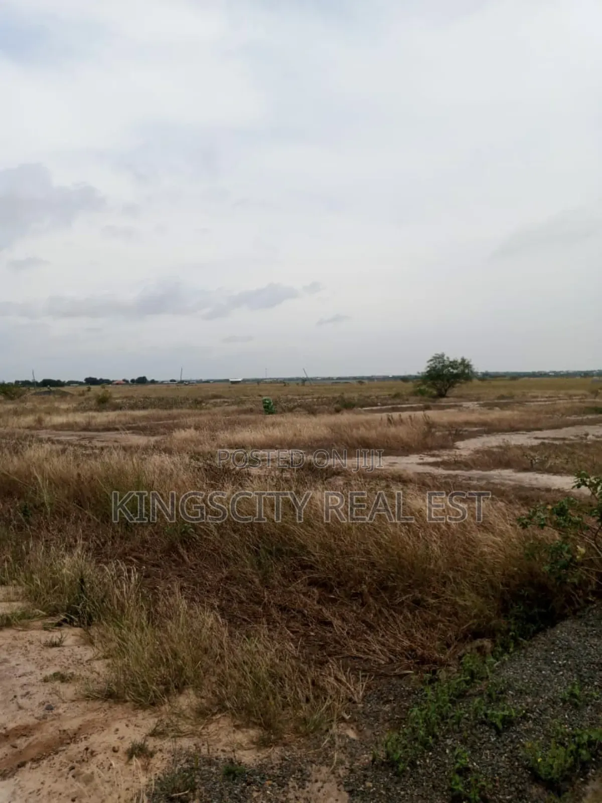 Very Nice Plots for Sale at Tsopoli