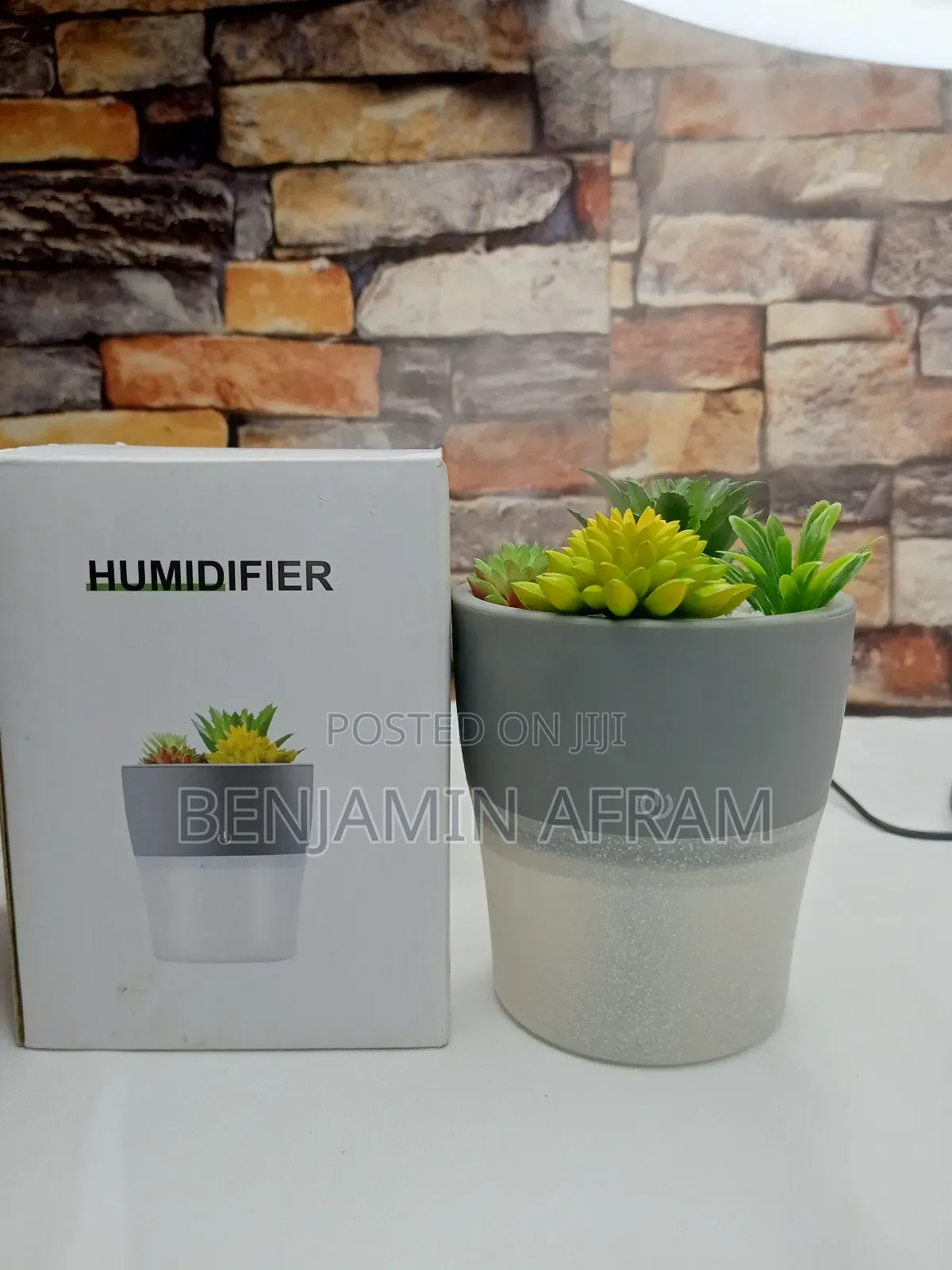 Plant Air Freshener Humidifier