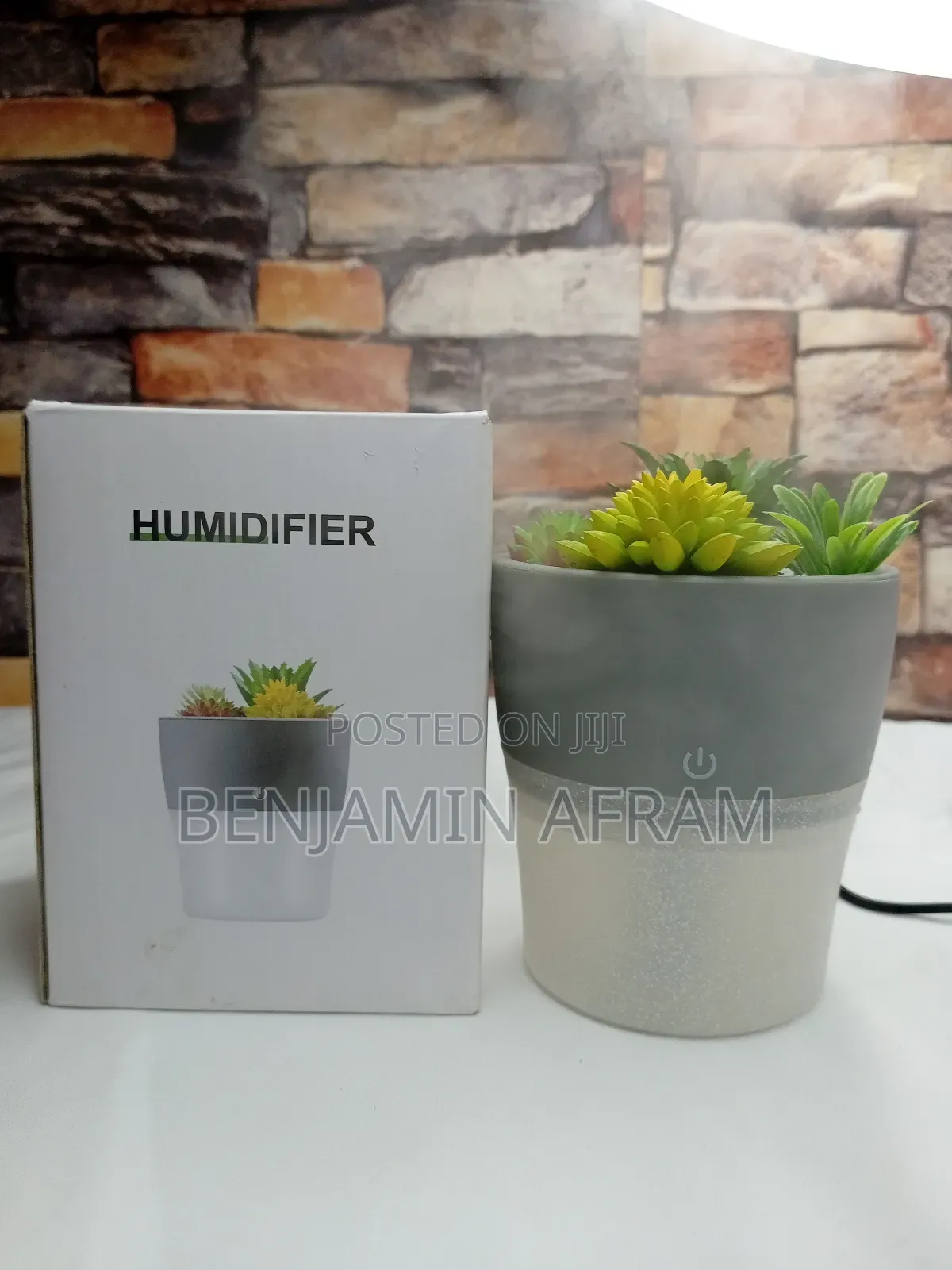 Room Plant Humidifier