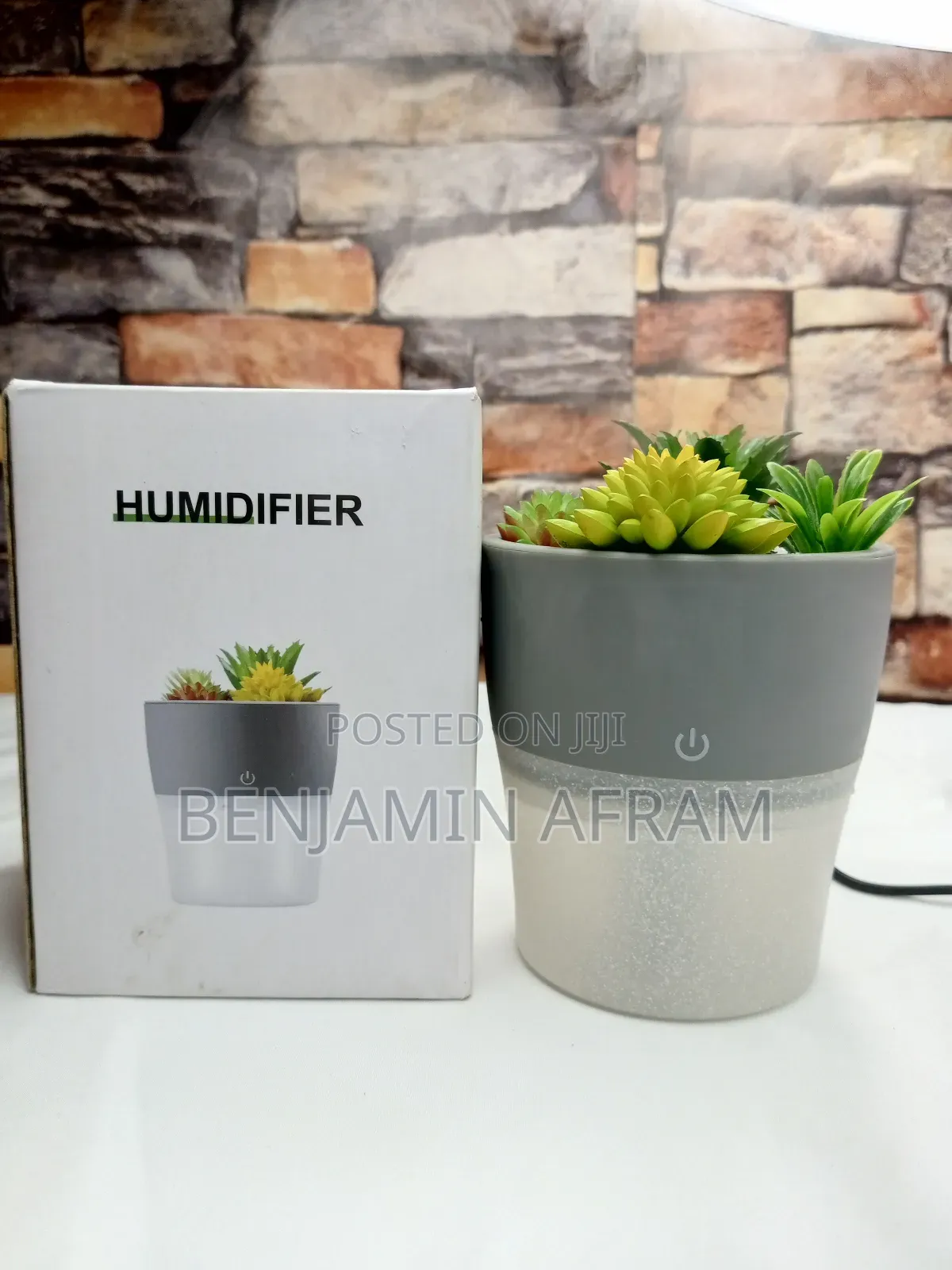 Room Plant Humidifier