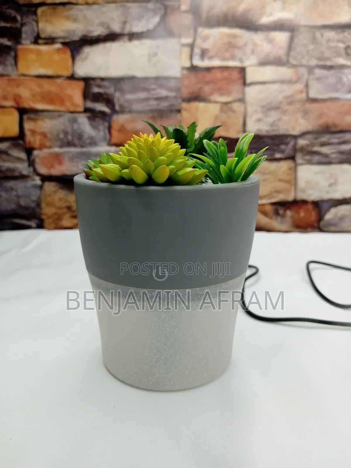 Plant Diffuser