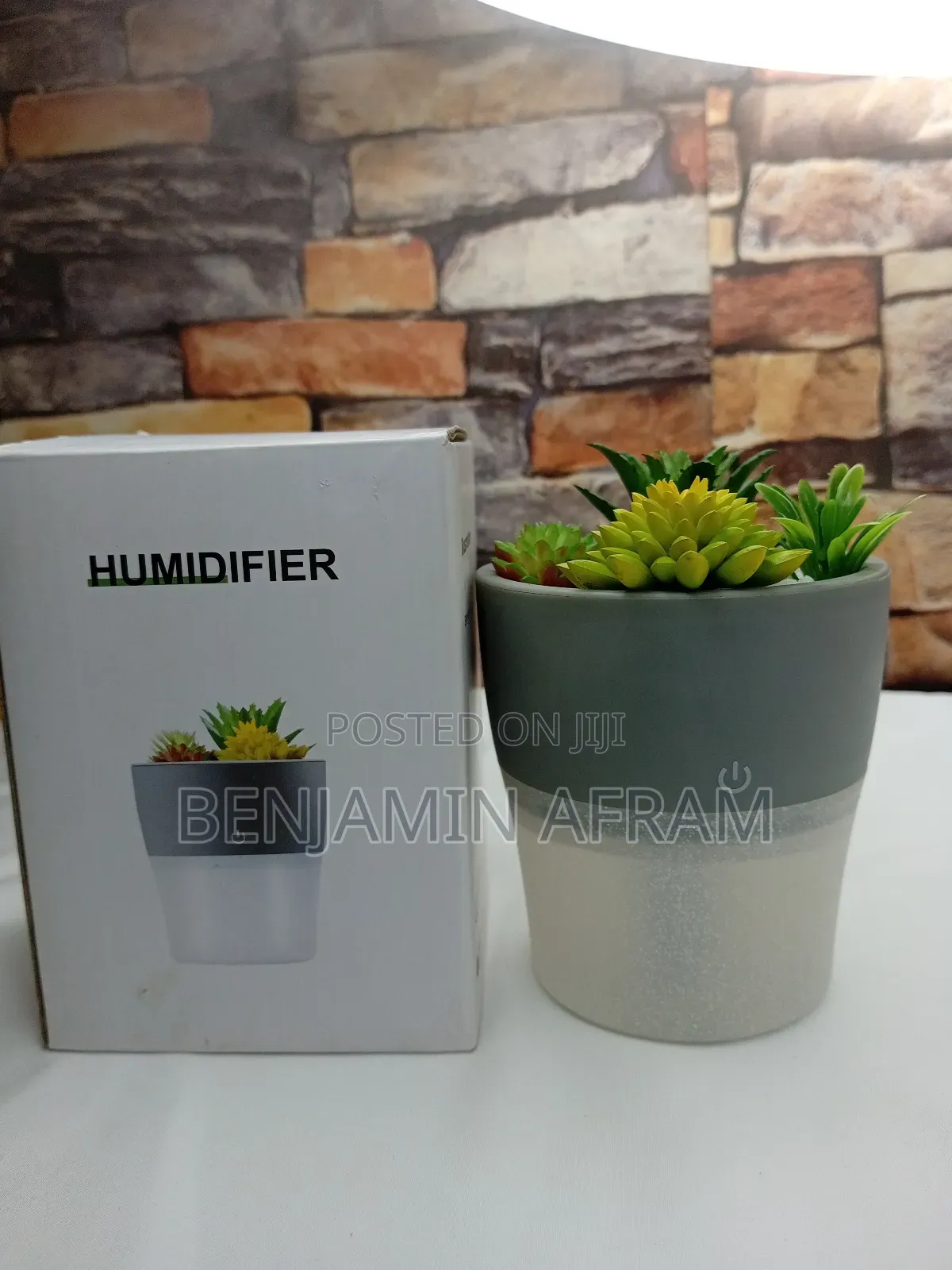 Electric Air Fresher Plant Hum