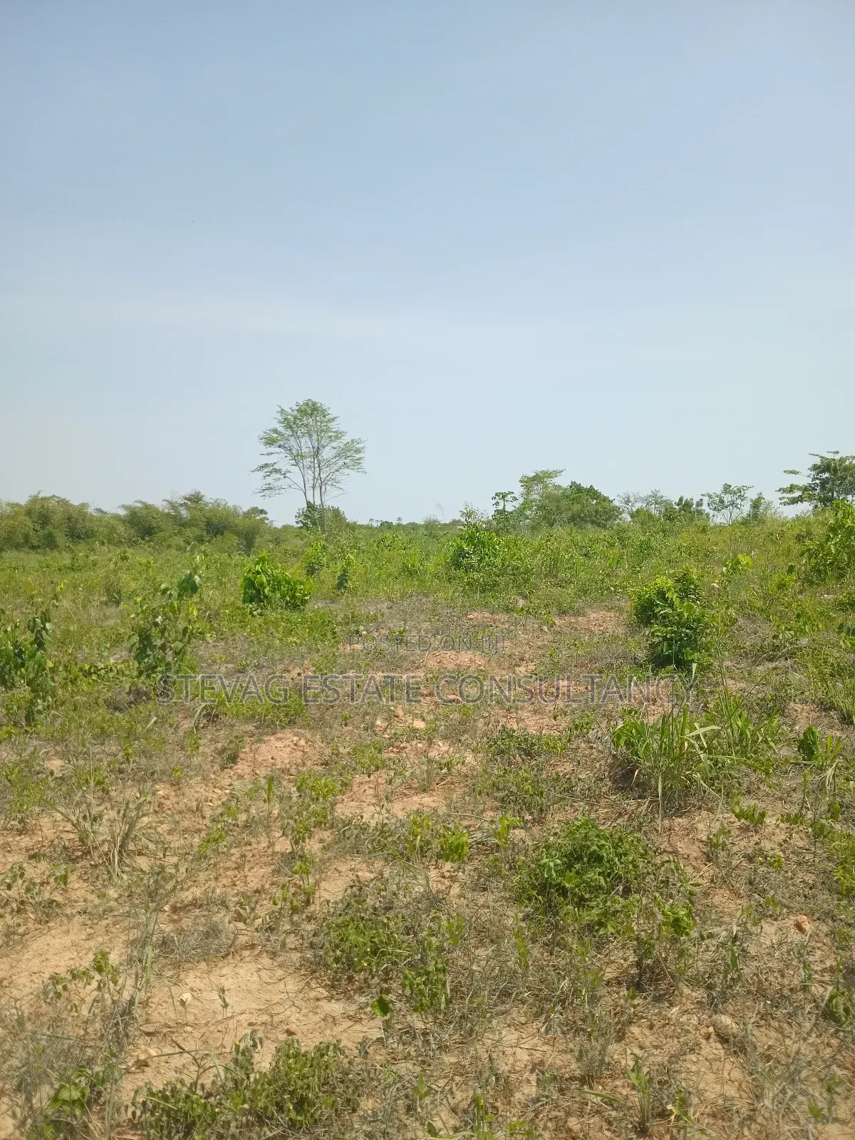 Estate Land for Sale at Amasaman Obom Ashifla