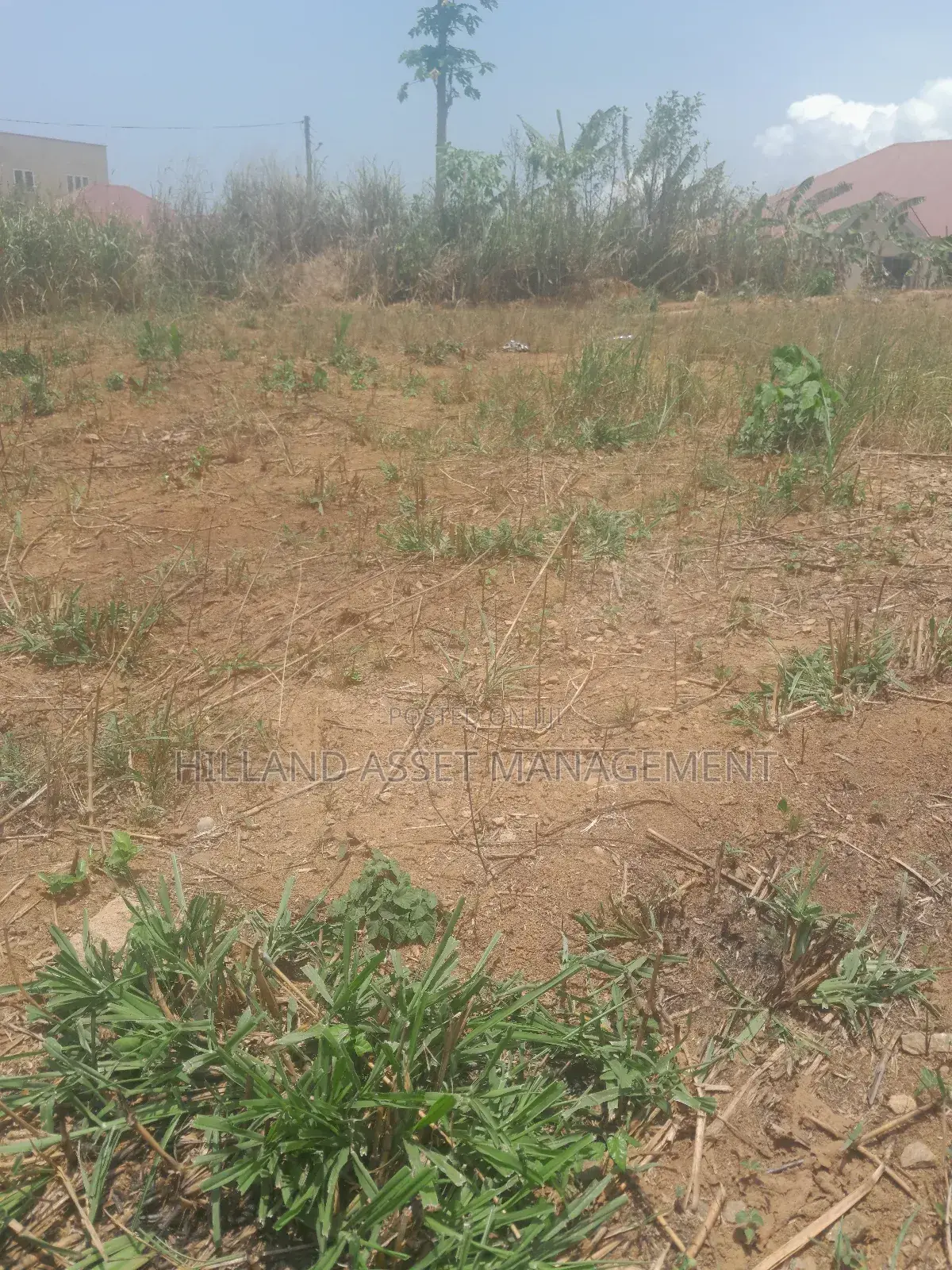 Plot of Land Forsale at Adietem-Mpatado