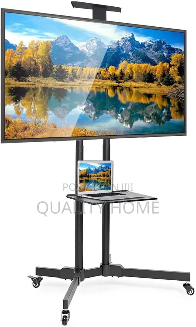 Tv Mount Swivel