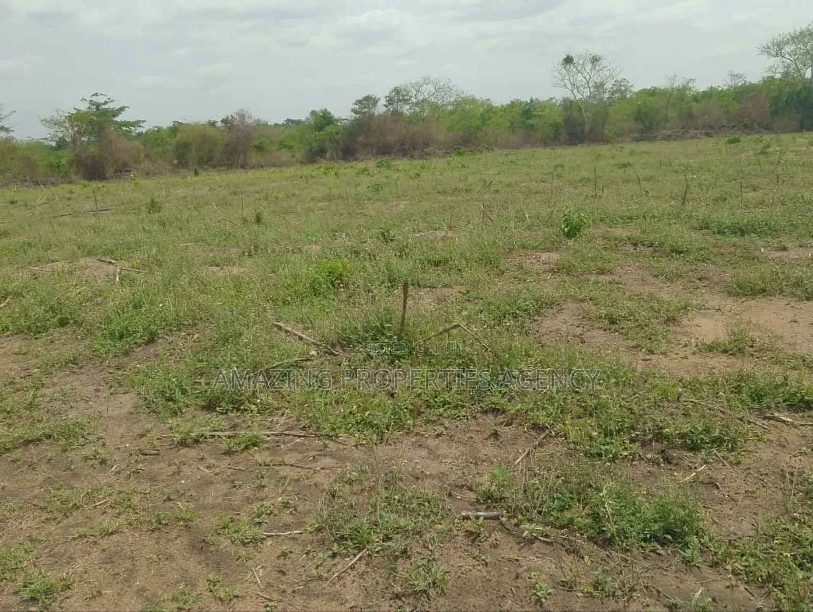 12 Plots of Land for Sale at Kokrobite