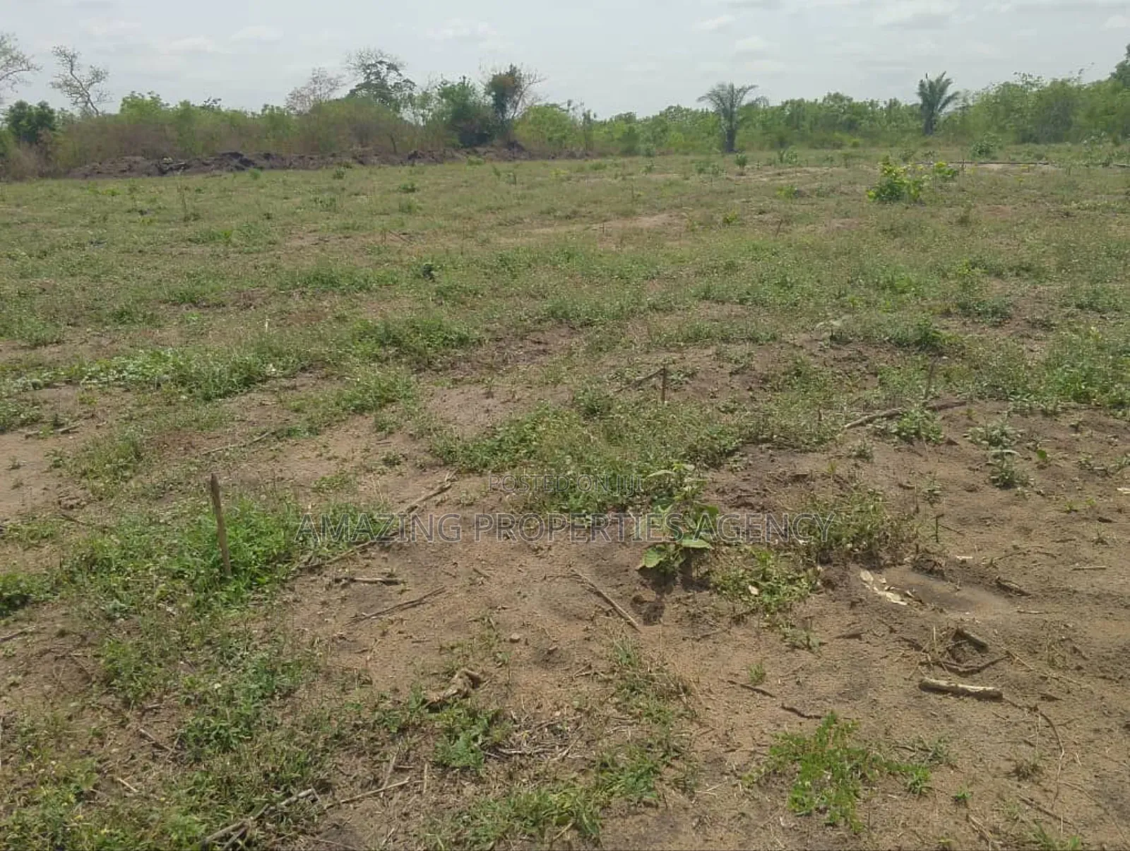 50 Acres of Land for Sake at Sakumono