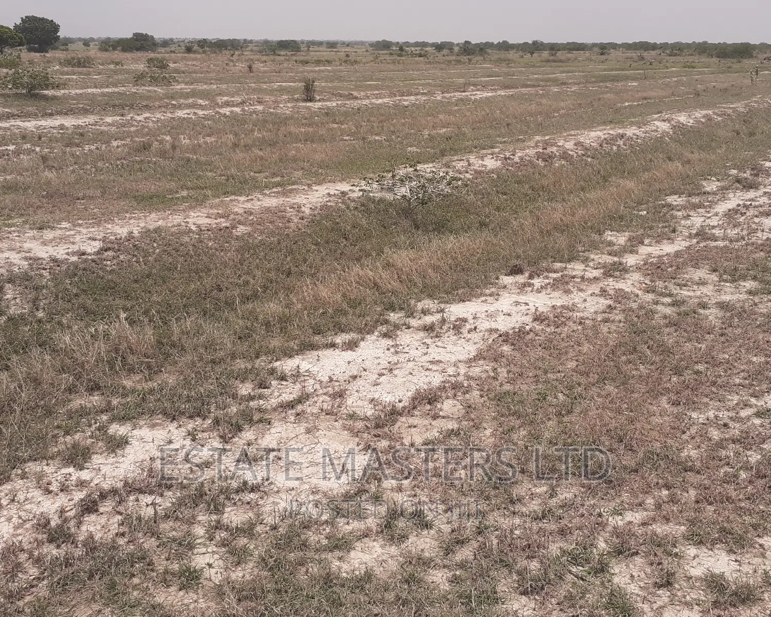 Estate Land on Promo