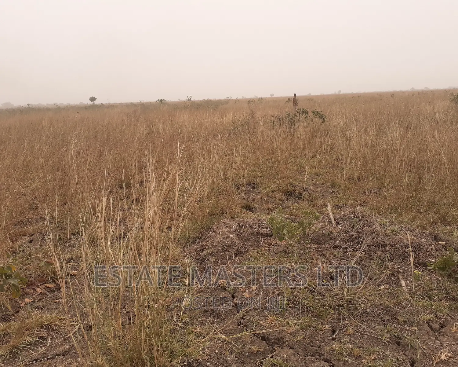 Estate Land on Promo
