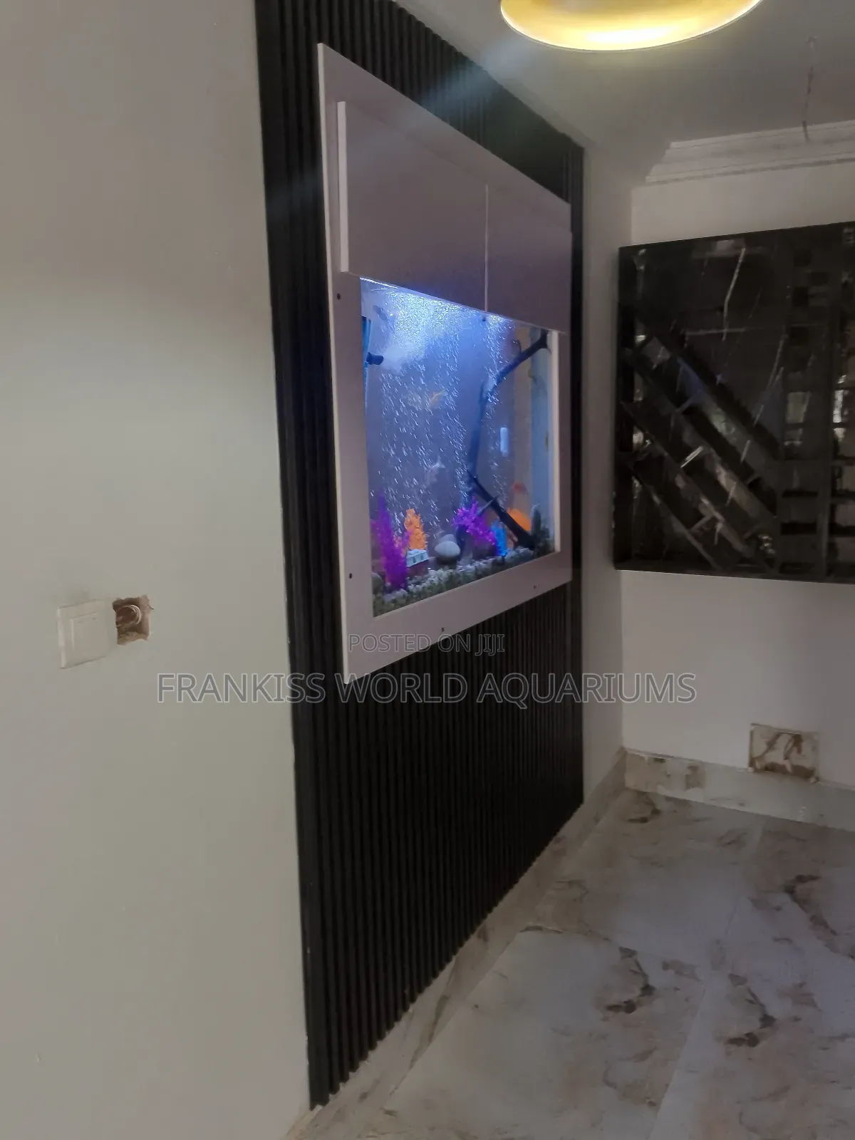 Wall Unit Aquarium
