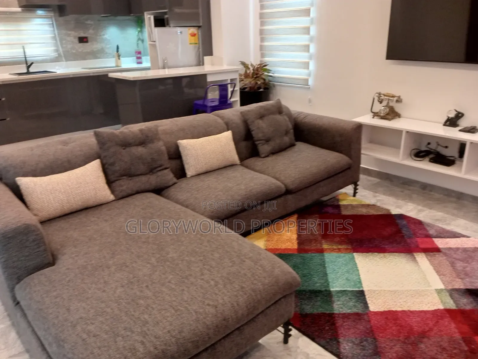 Furnished 2bdrm Apartment in Tseaddo for rent