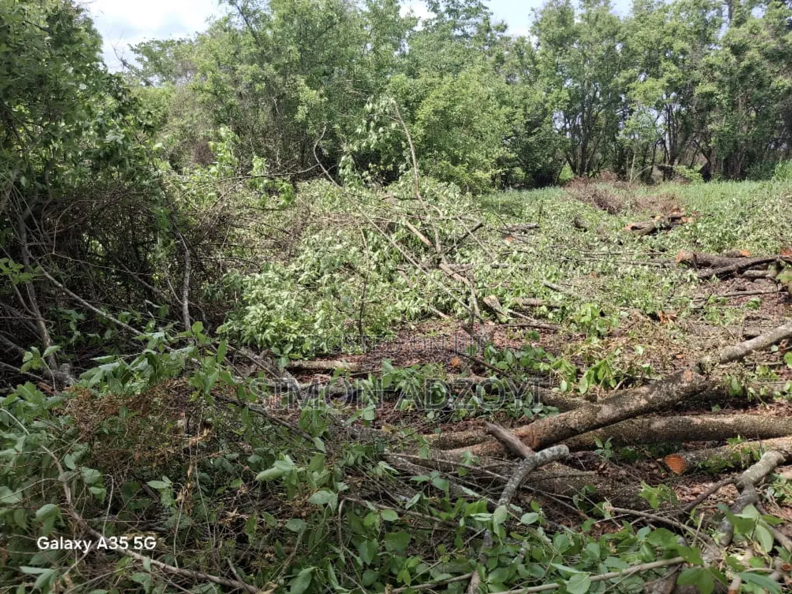 50,000 Acres of Farm Land for Sale