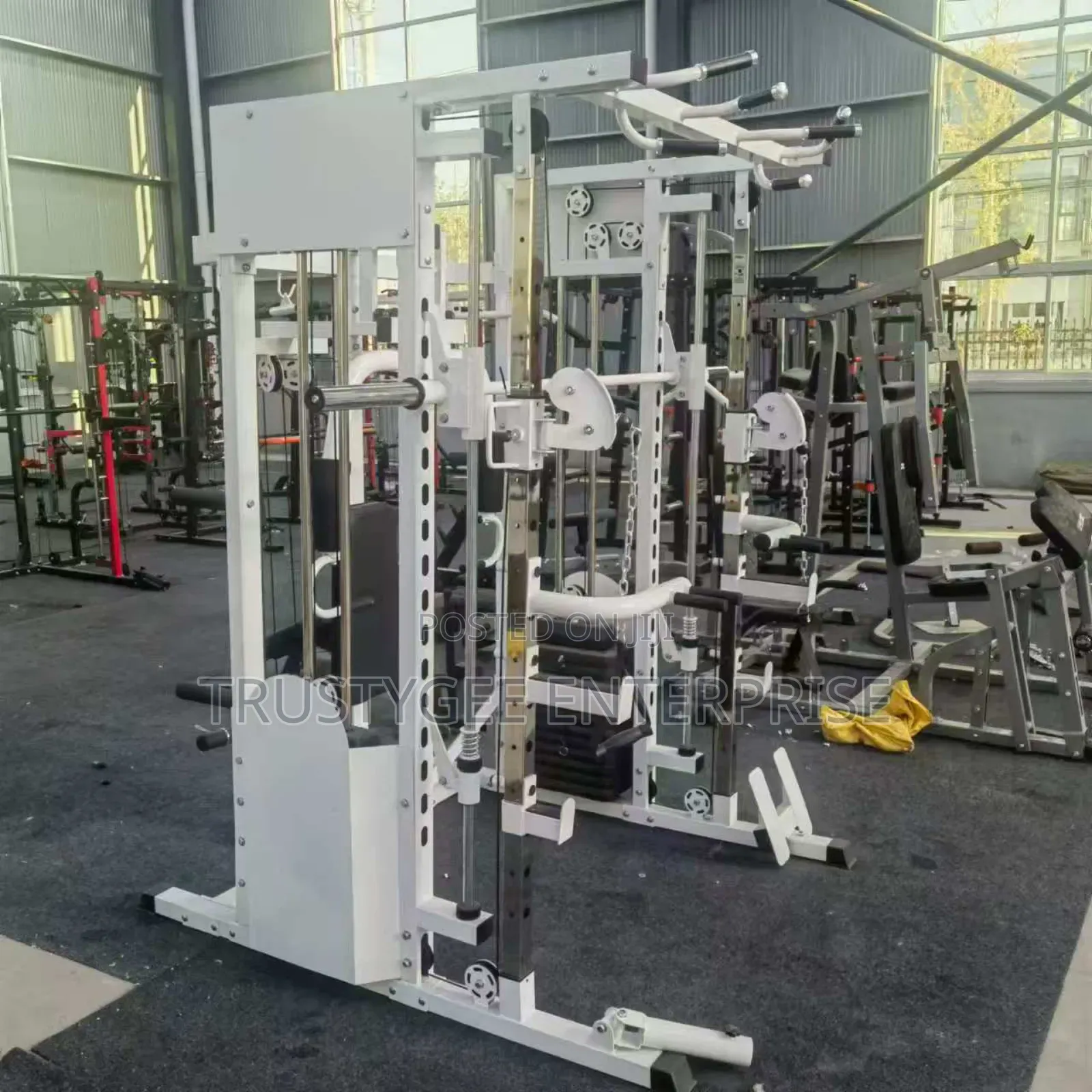 Smith Machine With 100kg Olympic Weight Plates