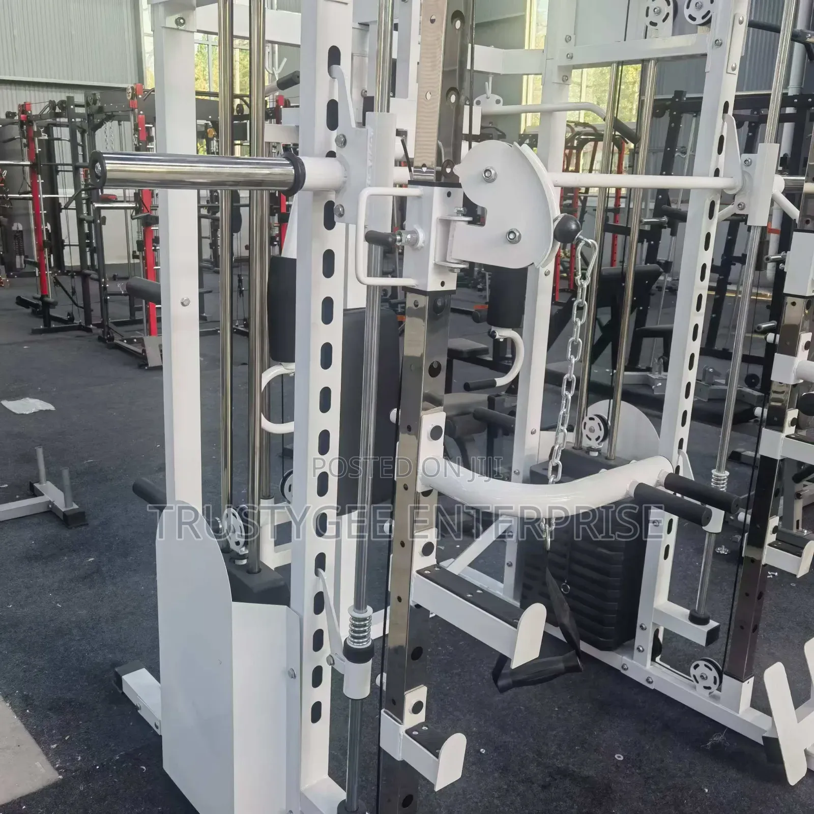Smith Machine With 100kg Olympic Weight Plates